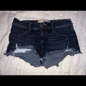Hollister Shorts